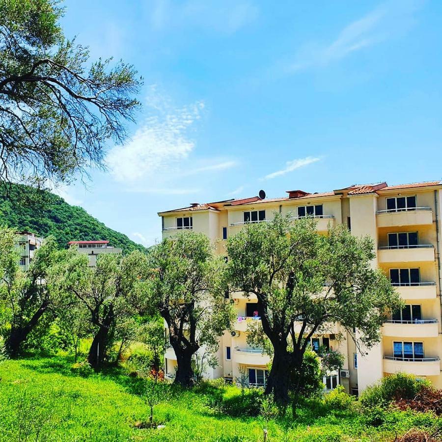 Panorama Petrovac 아파트 외부 사진