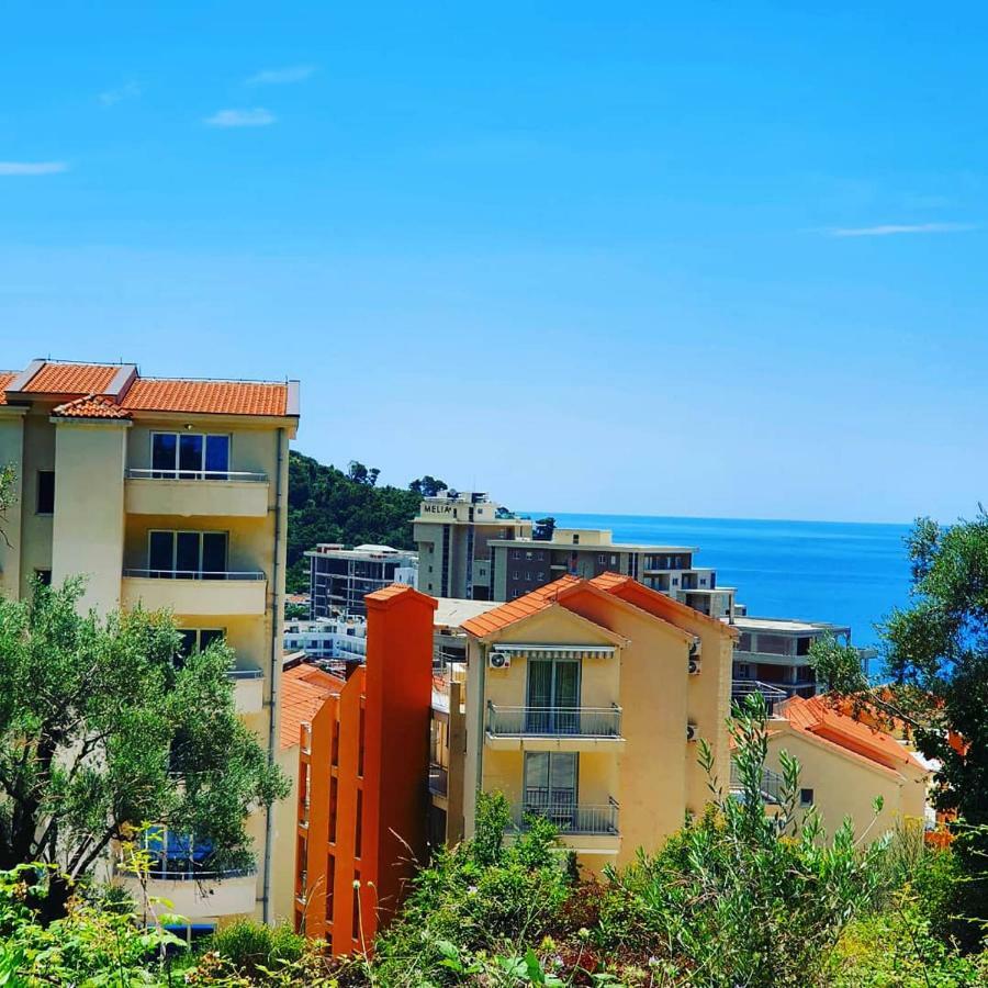 Panorama Petrovac 아파트 외부 사진